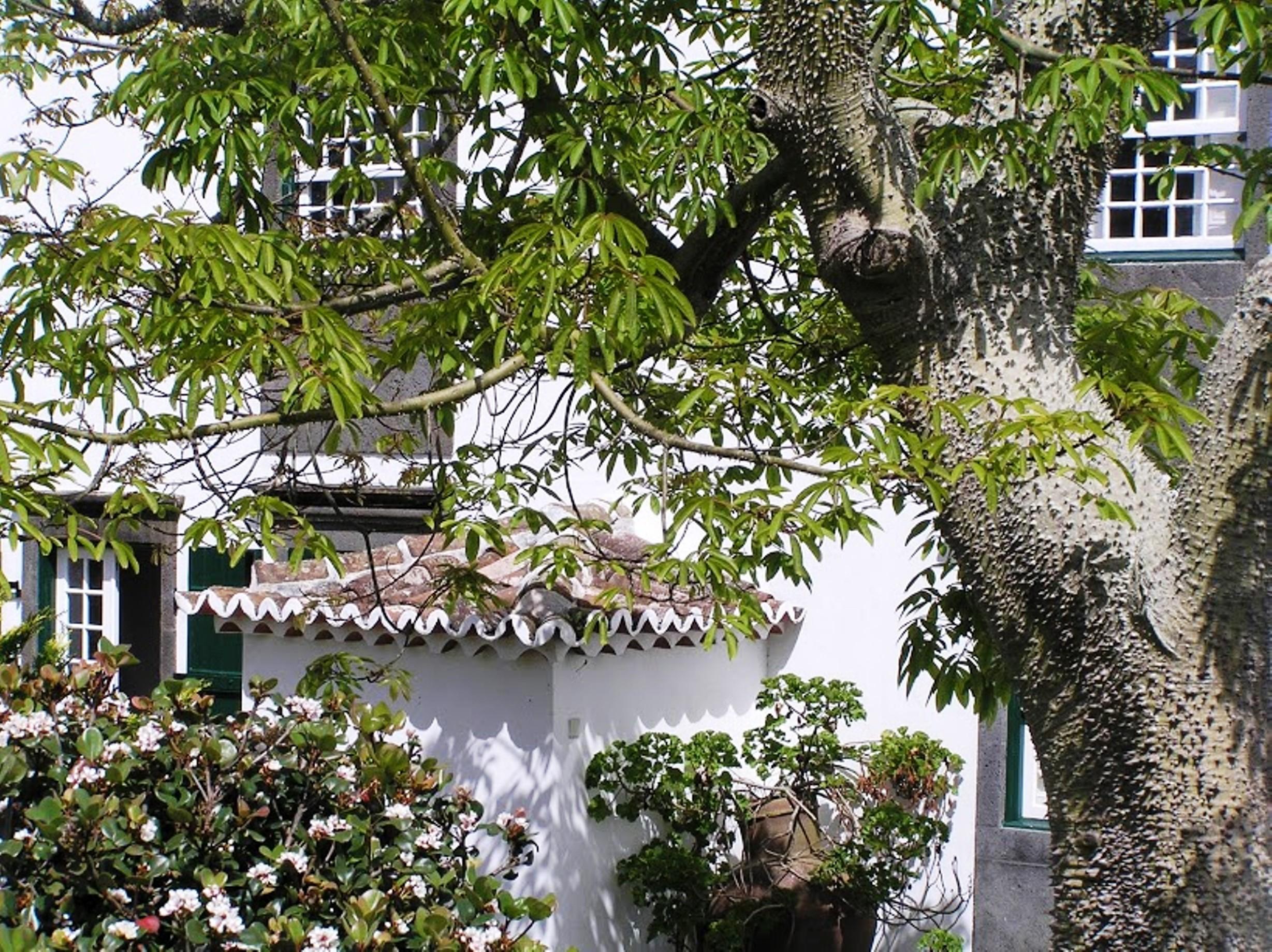 Casa Das Calhetas - Turismo De Habitacao Exterior photo